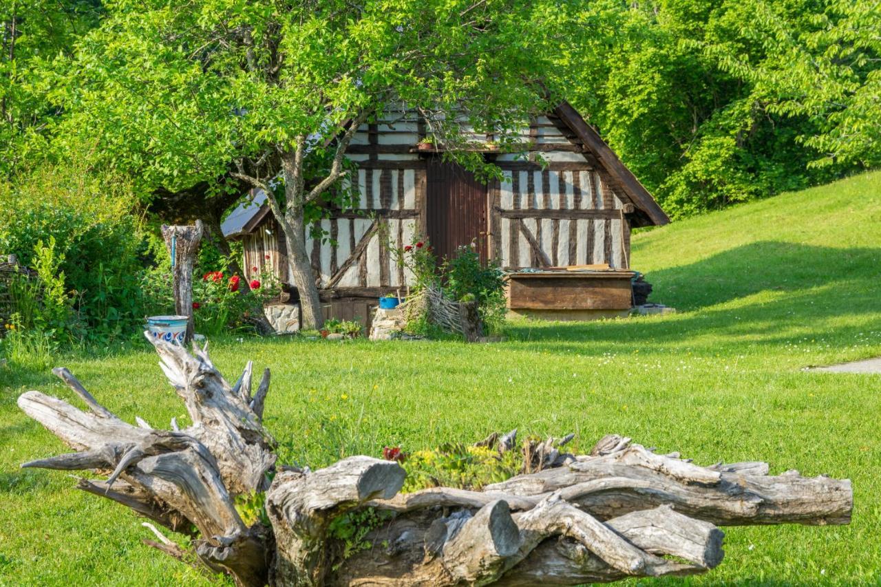 Djurdjevina Family Farm Villa Kolasin Exterior photo