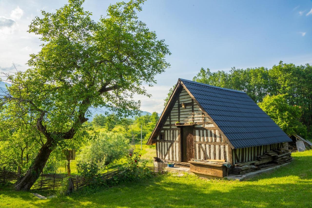 Djurdjevina Family Farm Villa Kolasin Exterior photo