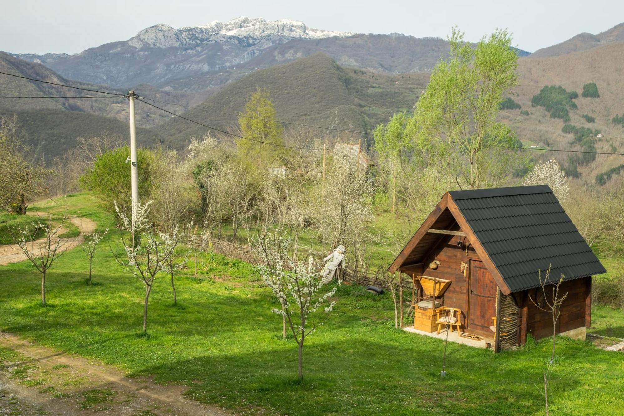 Djurdjevina Family Farm Villa Kolasin Exterior photo
