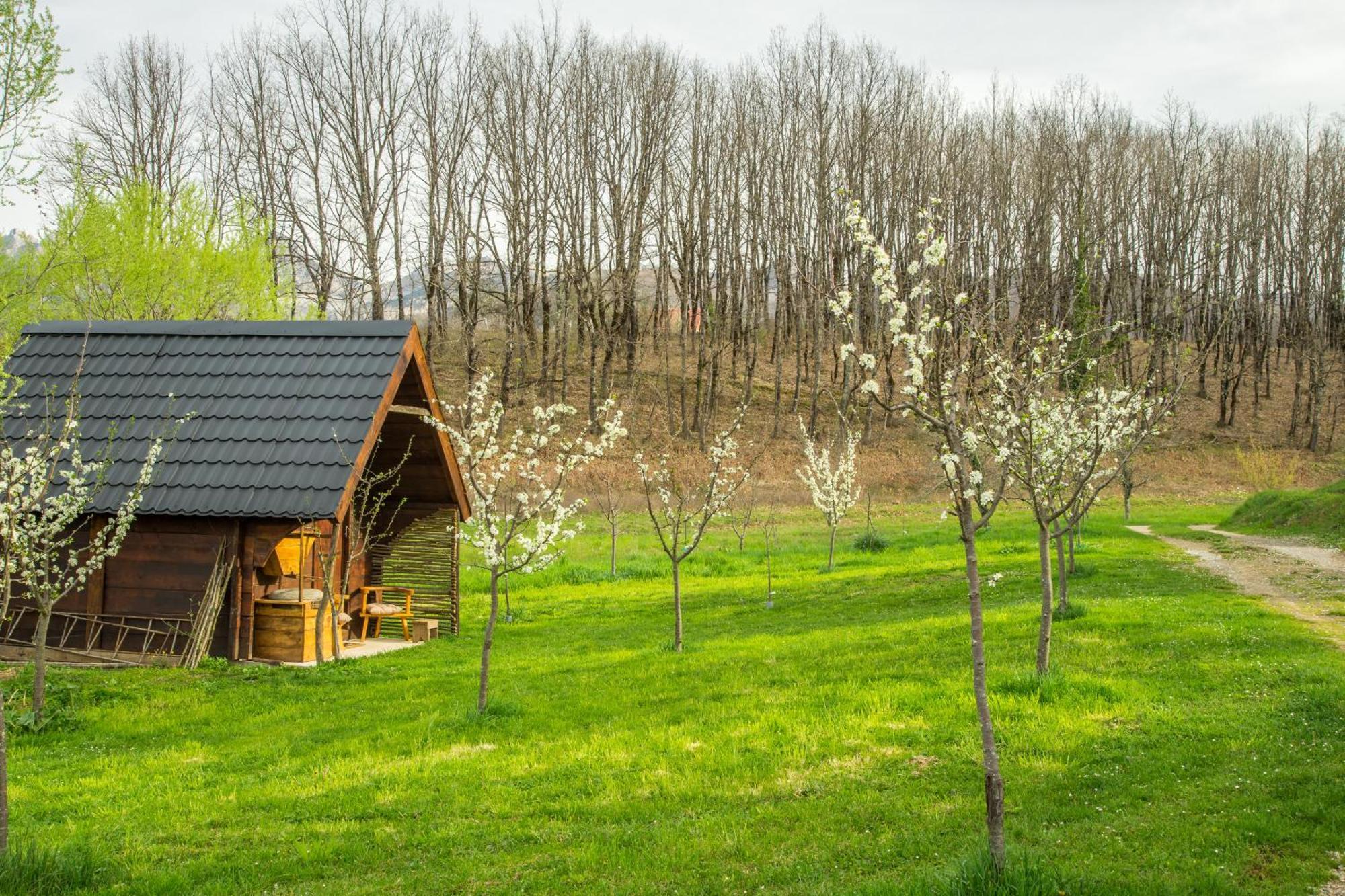 Djurdjevina Family Farm Villa Kolasin Exterior photo