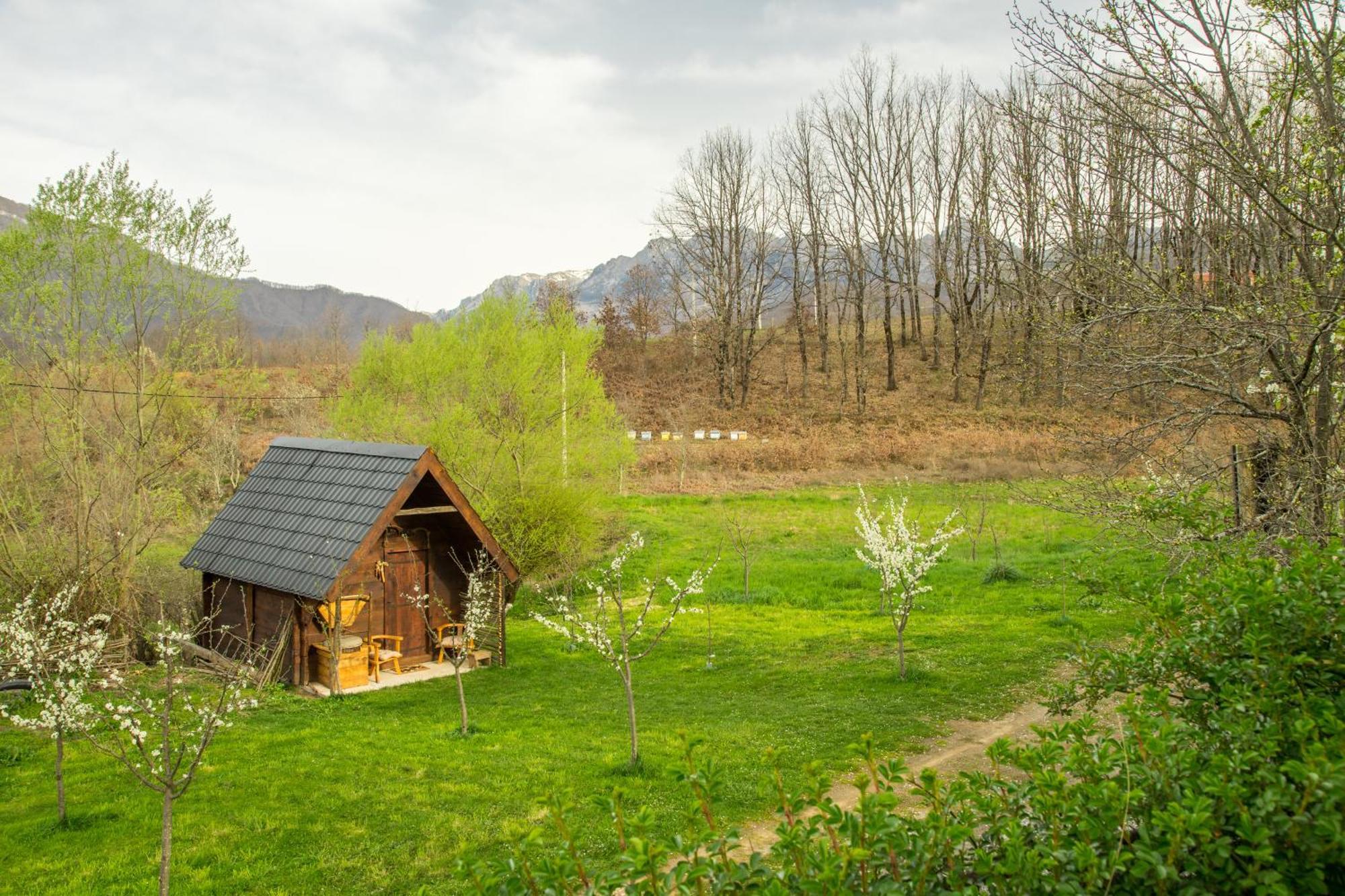 Djurdjevina Family Farm Villa Kolasin Room photo
