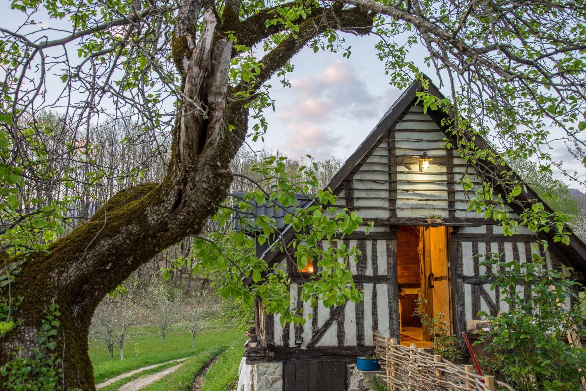 Djurdjevina Family Farm Villa Kolasin Room photo